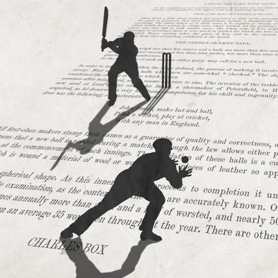 The Art Of Cricket Art Print by Peter Walters iCanvas