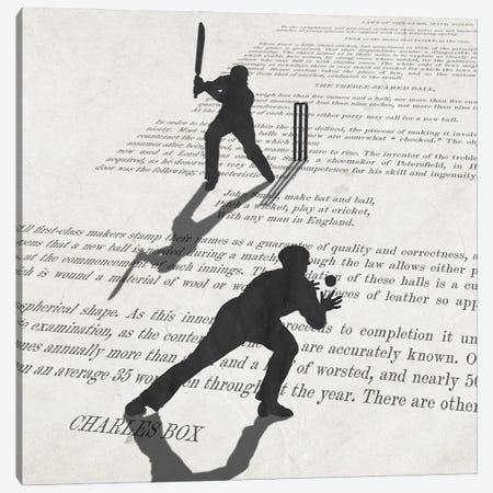 The Art Of Cricket Canvas Print #PWR45} by Peter Walters Canvas Art