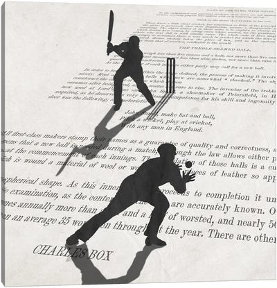 The Art Of Cricket Canvas Art Print - Peter Walters