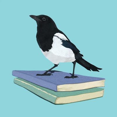 Magpie Librarian by Peter Walters framed canvas print