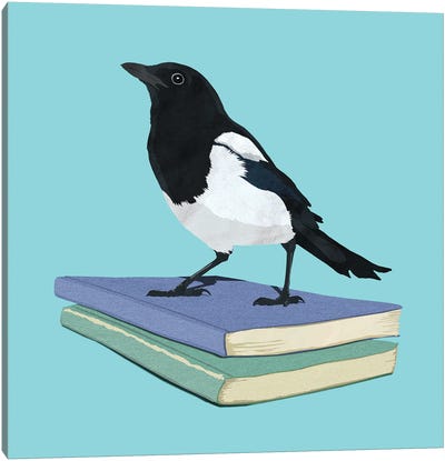 Magpie Librarian Canvas Art Print - Book Art