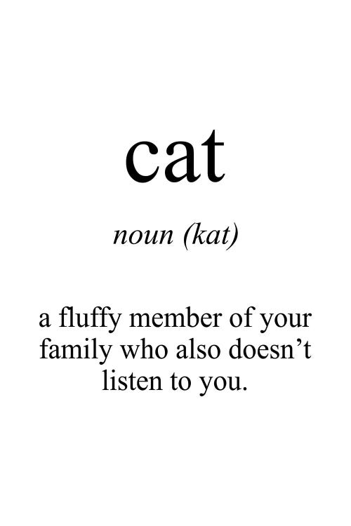 Cat Meaning