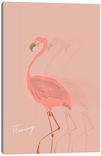 Flamingo Shadow Canvas Art Print - Flamingo Art