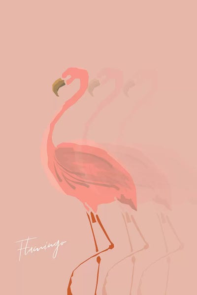 Pixy Paper: Flamingo Shadow by Pixy Paper