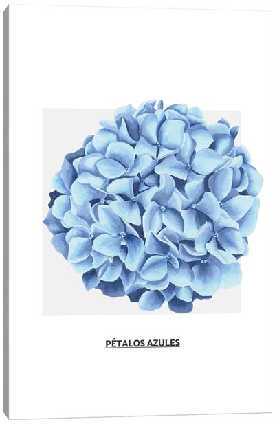 Flowers Collection - Blue Flower Canvas Art Print - Hydrangea Art