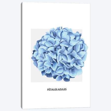 Flowers Collection - Blue Flower Canvas Print #PXY183} by Pixy Paper Art Print