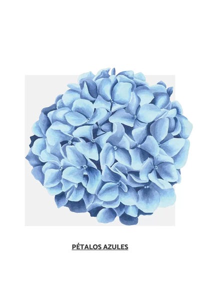 Hydrangeas: Flowers Collection - Blue Flower by Pixy Paper