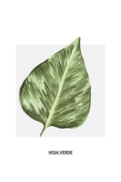 Flowers Collection - Green Leaf by Pixy Paper canvas print