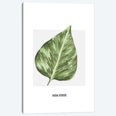 Flowers Collection - Green Leaf Canvas Print #PXY184} by Pixy Paper Canvas Wall Art