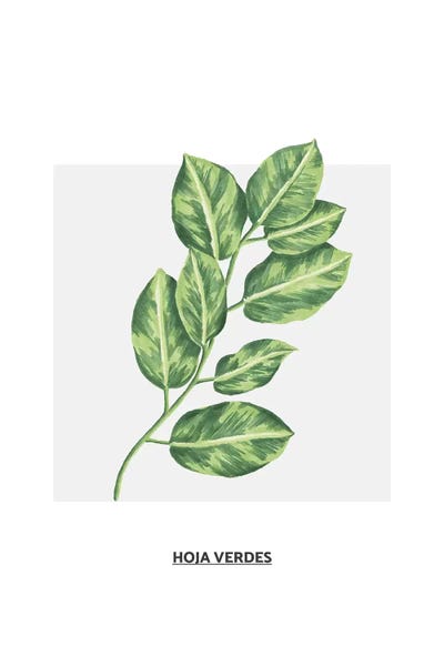 Pixy Paper: Flowers Collection - Green Stem by Pixy Paper