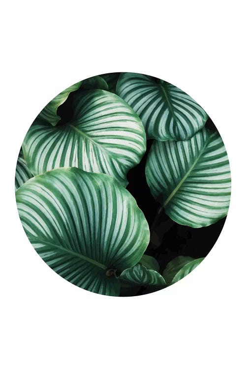 Green Leaf by Pixy Paper wall art