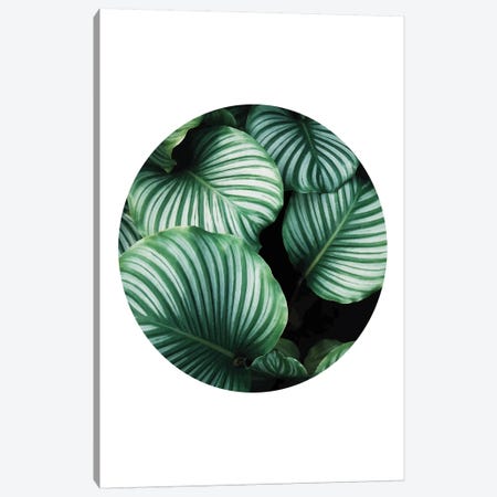 Green Leaf Canvas Print #PXY211} by Pixy Paper Art Print