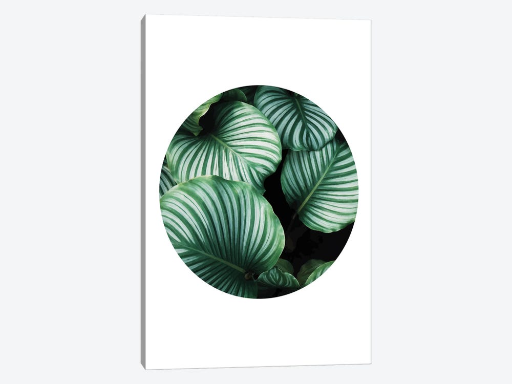 Green Leaf by Pixy Paper 1-piece Canvas Art Print