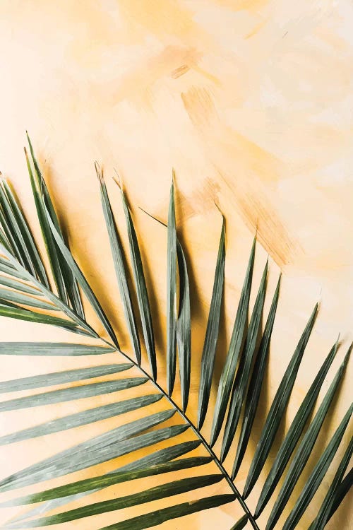Green Leaf On Yellow Texture by Pixy Paper wall art