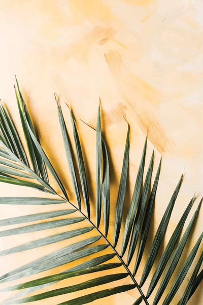 Pixy Paper: Green Leaf On Yellow Texture by Pixy Paper