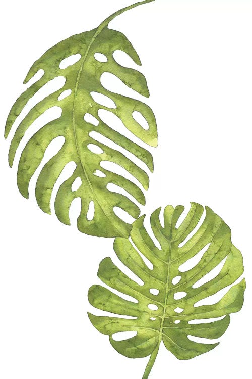 Green Leaves Floral Collection by Pixy Paper wall art