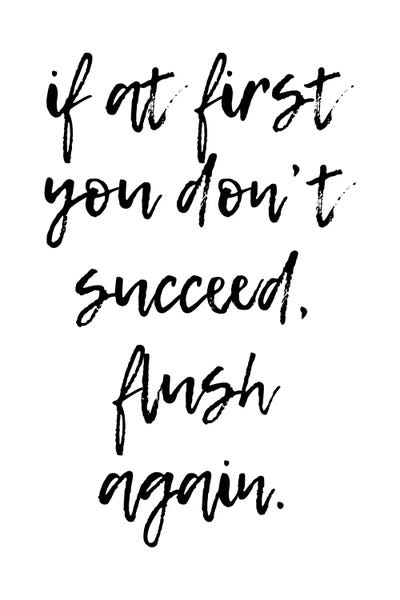 Bathroom Humor: If At First You Dont Succeed Flush Again by Pixy Paper