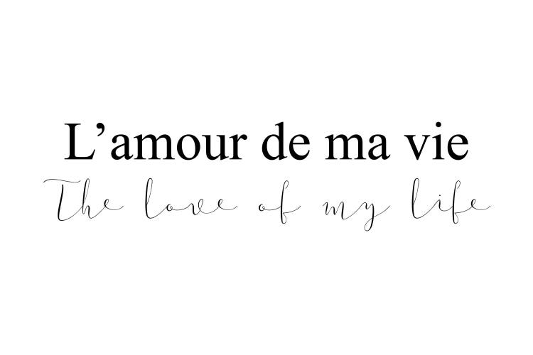 Lamour De Ma Vie by Pixy Paper wall art