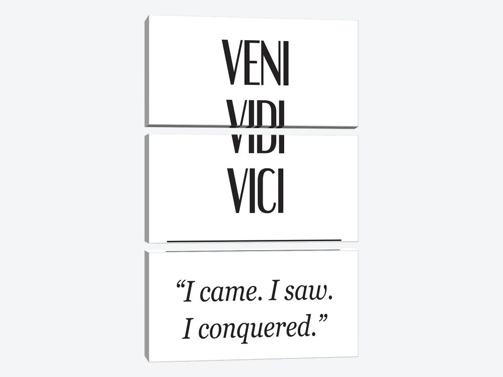 Latin Meanings-Veni Vidi by Pixy Paper 3-piece Canvas Artwork