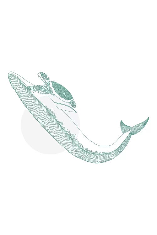 Marine Animals Set-02 by Pixy Paper wall art