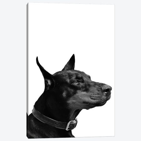 Mono Dog Canvas Print #PXY341} by Pixy Paper Canvas Art Print