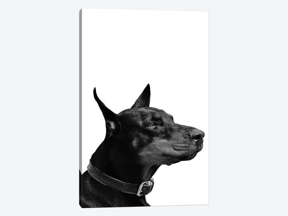 Mono Dog by Pixy Paper 1-piece Canvas Print