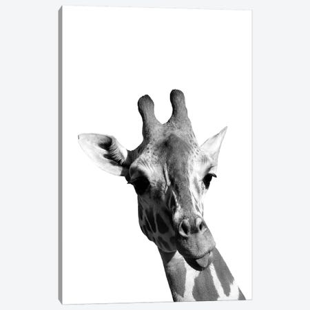 Mono Giraffe Canvas Print #PXY342} by Pixy Paper Canvas Print