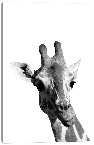 Mono Giraffe Canvas Art Print - Pixy Paper
