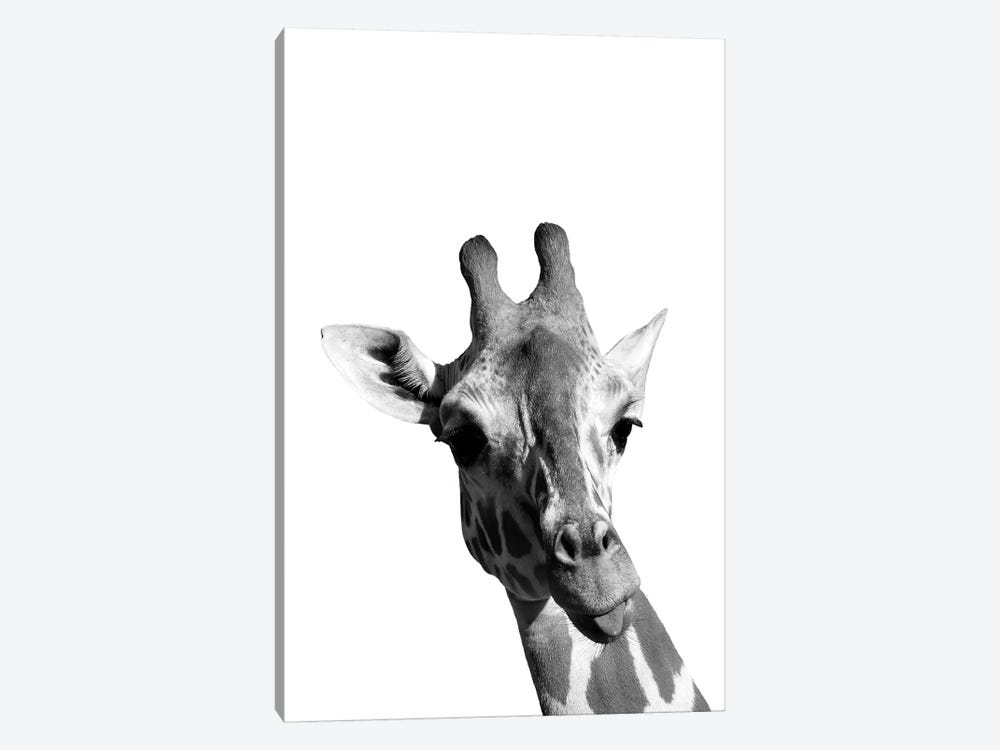 Mono Giraffe by Pixy Paper 1-piece Canvas Artwork