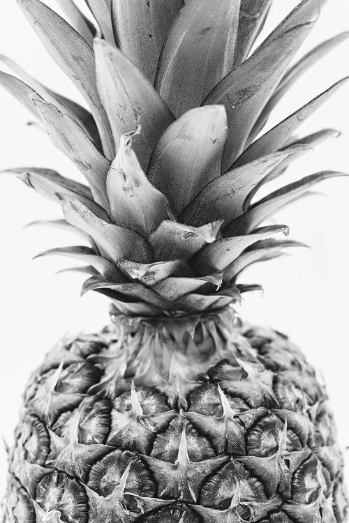 Mono Pineapple by Pixy Paper wall art