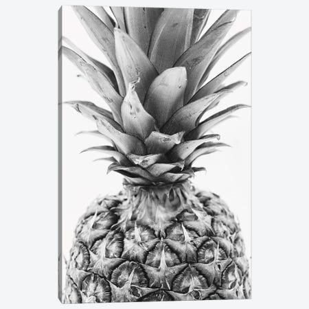 Mono Pineapple Canvas Print #PXY343} by Pixy Paper Art Print