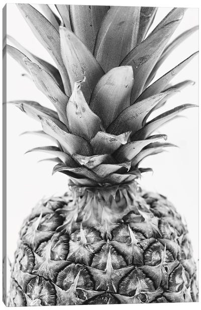Mono Pineapple Canvas Art Print - Minimalist Kitchen Art