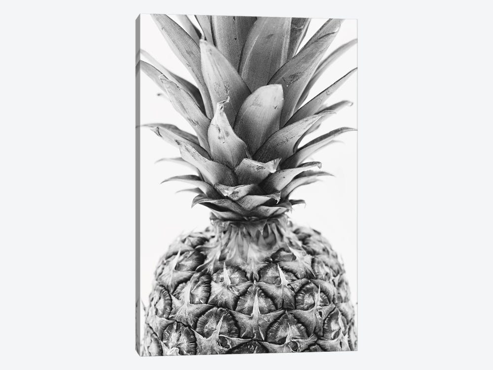Mono Pineapple by Pixy Paper 1-piece Canvas Art Print