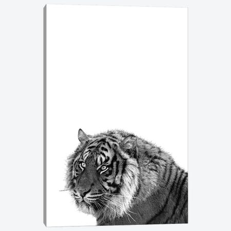 Mono Tiger Canvas Print #PXY344} by Pixy Paper Canvas Artwork