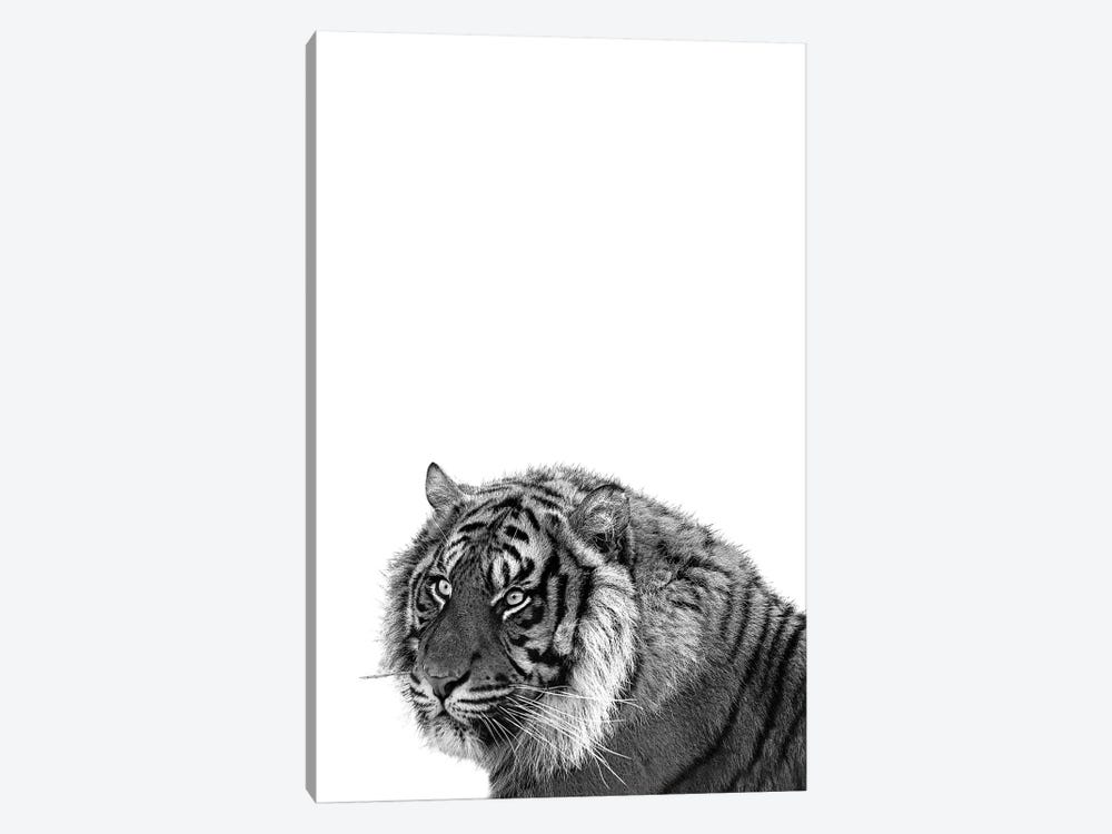 Mono Tiger by Pixy Paper 1-piece Canvas Wall Art