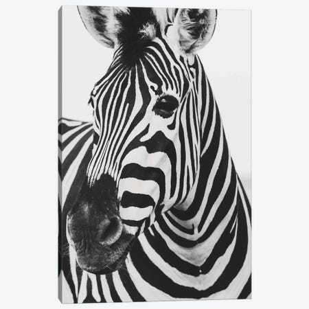 Mono Zebra Canvas Print #PXY345} by Pixy Paper Canvas Artwork
