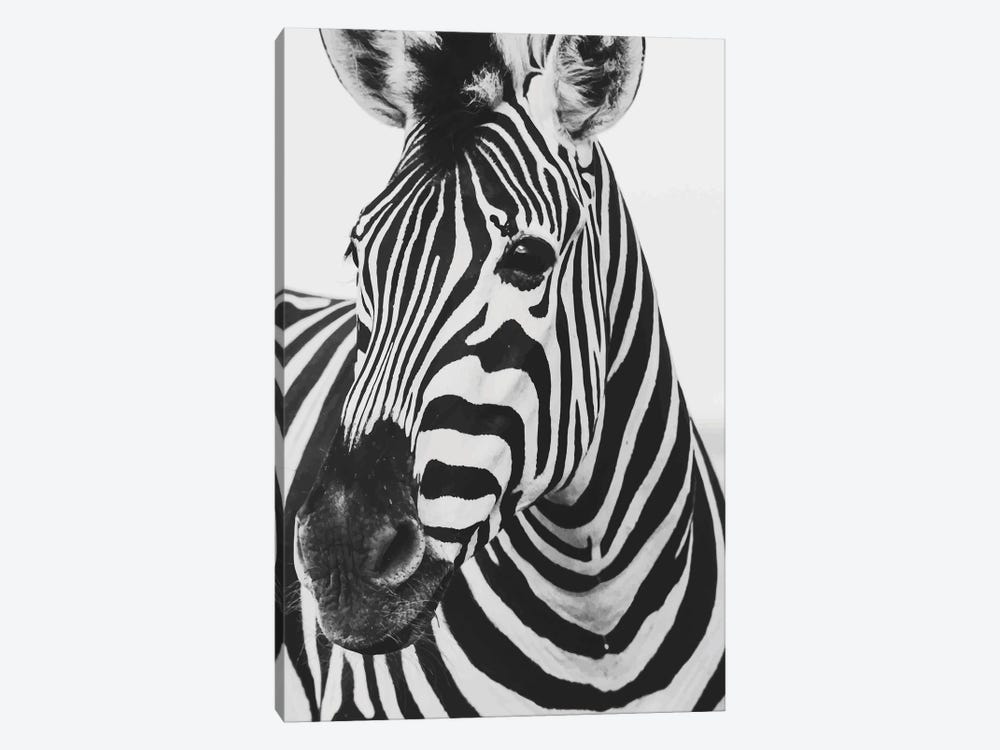 Mono Zebra by Pixy Paper 1-piece Art Print