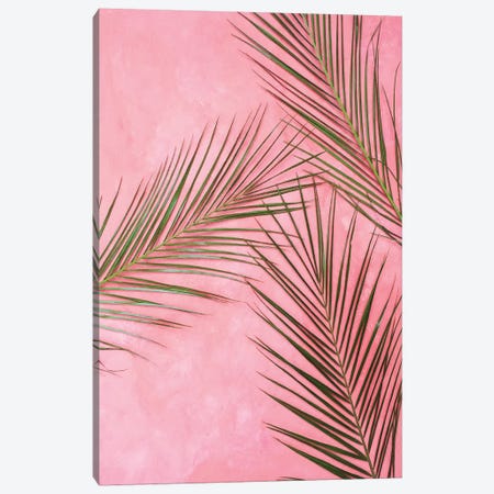 Pink Back And Plaints Canvas Print #PXY394} by Pixy Paper Canvas Art Print