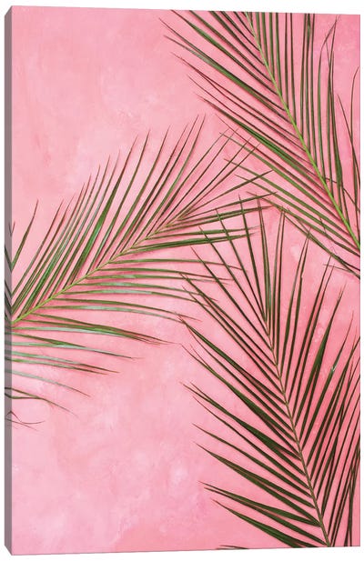 Pink Back And Plaints Canvas Art Print - Pixy Paper