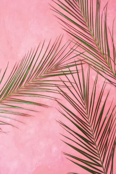 Pixy Paper: Pink Back And Plaints by Pixy Paper