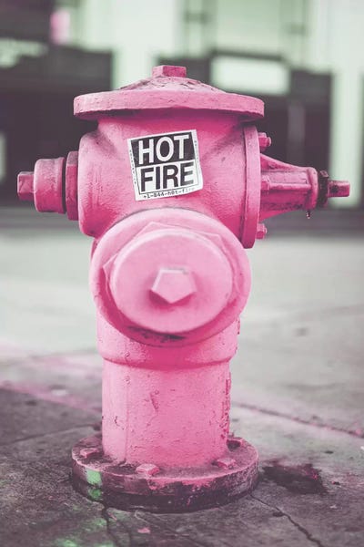 Canvas Print: Pink Fire Hydro by Pixy Paper - thumbnail