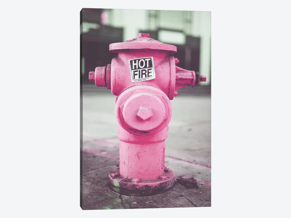 Pink Fire Hydro by Pixy Paper 1-piece Canvas Wall Art