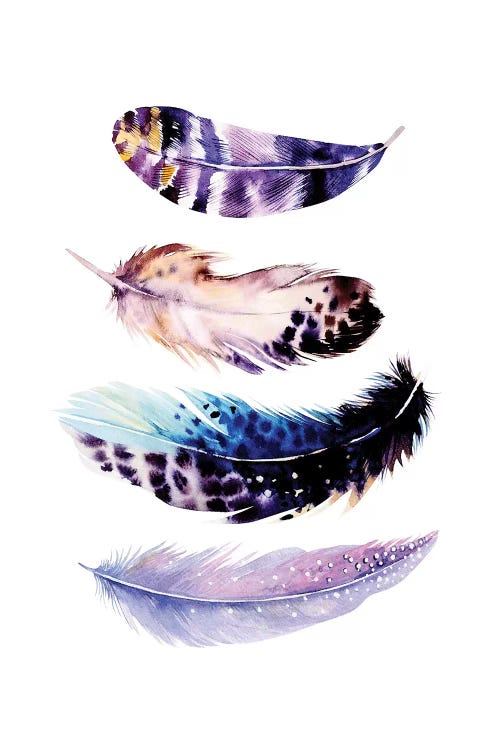 Purple Bird Feathers