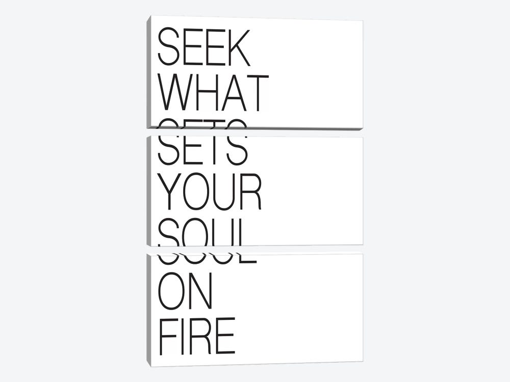 Seek What Sets Your Soul On Fire by Pixy Paper 3-piece Art Print