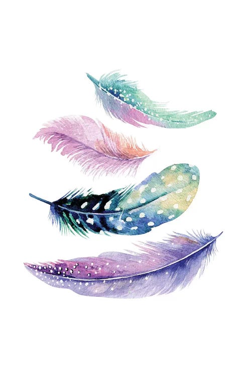 Turquoise And Purple Bird Feathers