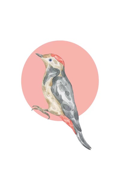 Watercolour Bired With Red Circles