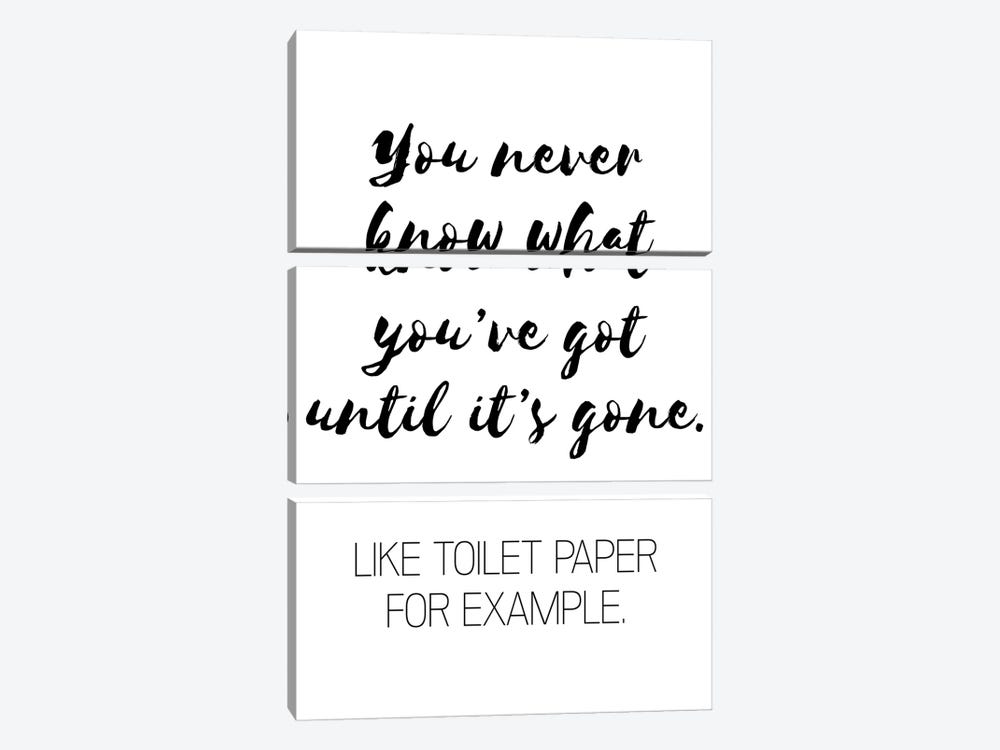 You Never Know What You've Got by Pixy Paper 3-piece Canvas Artwork