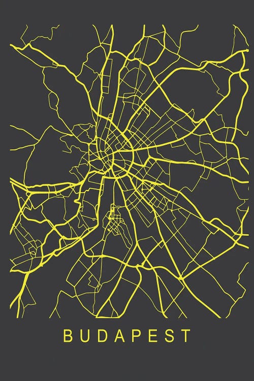 Budapest Map Neon by Pixy Paper wall art