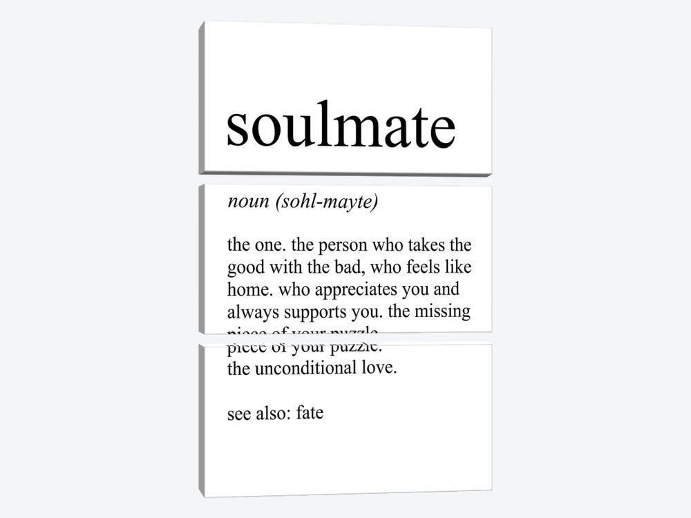 Soulmate by Pixy Paper 3-piece Canvas Art