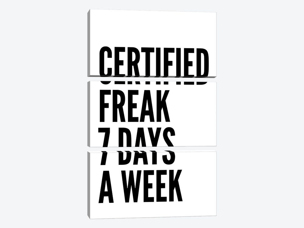 Certified Freak by Pixy Paper 3-piece Canvas Art